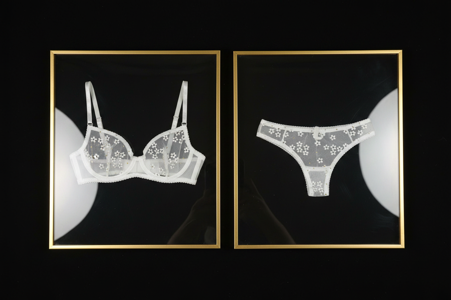 Frame – Daisy Mesh Lace Bra Set